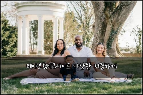 태아보험비교사이트 다양한 저렴하게
