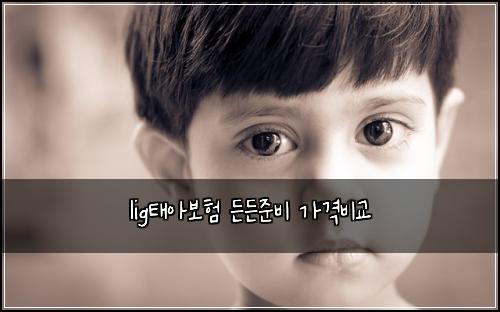 ligํ์๋ณดํ ๋ ๋ ์ค๋น ๊ฐ๊ฒฉ๋น๊ต