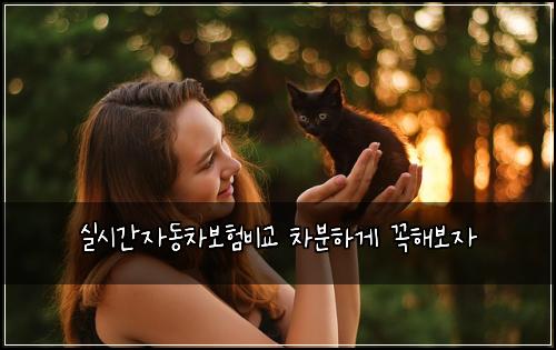 μ€μκ°μλ차보νλΉκ΅ μ°¨λΆνκ² κΌν΄λ³΄μ