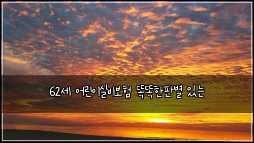 62세 어린이실비보험 똑똑한판별  있는