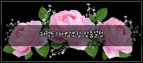 퍼펙트케어암보험 맞춤설정 