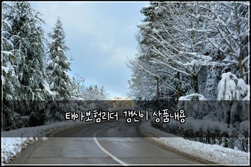 태아보험리더 갱신이 상품내용