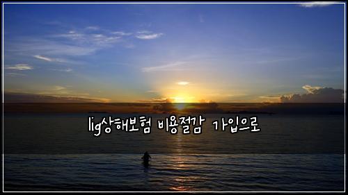 lig상해보험 비용절감  가입으로