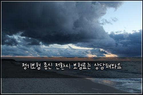 정기보험 종신 전환시 보험료는 상담해봐요