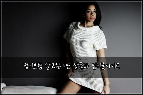 정기보험 알고싶다면  상품과 인기굿사이트