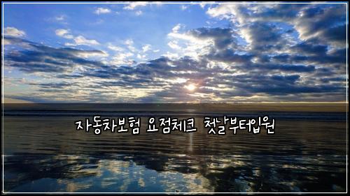 자동차보험 요점체크  첫날부터입원