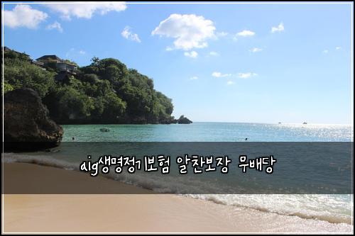aig생명정기보험 알찬보장  무배당