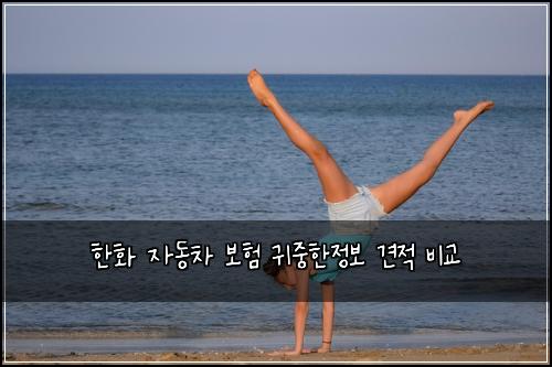 한화 자동차 보험 귀중한정보  견적 비교
