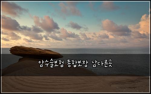 암수술보험 종합보장  남다른곳