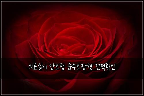 의료실비 암보험 순수보장형  견적확인