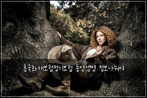 흥국화재보험정기보험 동양생명 정보나눠여