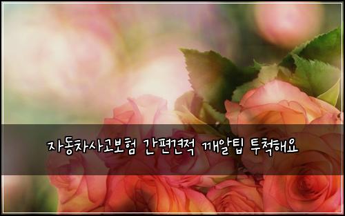 ์๋์ฐจ์ฌ๊ณ ๋ณดํ ๊ฐํธ๊ฒฌ์ ๊นจ์ํ ํฌ์ฒํด์