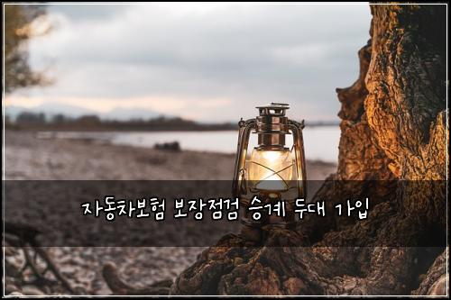 자동차보험 보장점검  승계 두대 가입