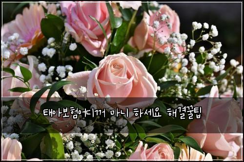 태아보험어디꺼 마니 하세요 해결꿀팁