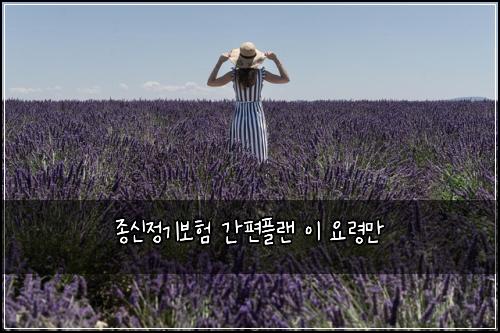 종신정기보험 간편플랜  이 요령만