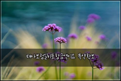 태아보험실비포함금액이요 특약확보