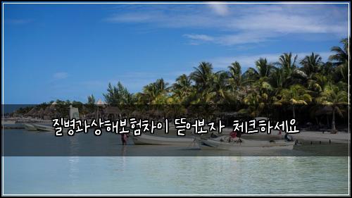 질병과상해보험차이 뜯어보자 체크하세요