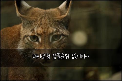 태아보험 상품순위  없어지나