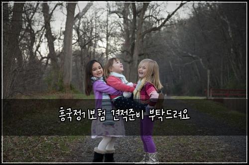 흥국정기보험 견적준비  부탁드려요