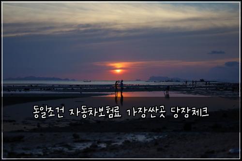 동일조건 자동차보험료 가장싼곳 당장체크