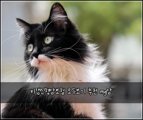 비갱신형암보험 모두보기  추천 mg암