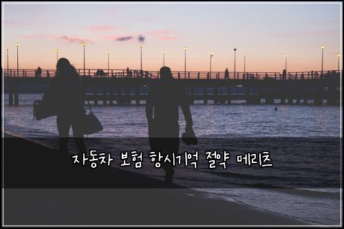 자동차 보험 항시기억  절약 메리츠