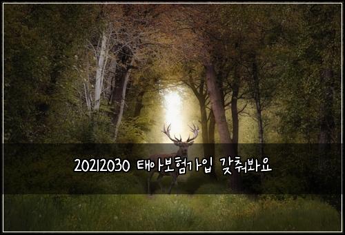 20212030 태아보험가입 갖춰봐요