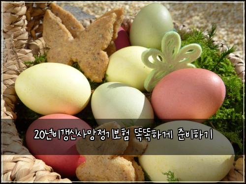 20년비갱신사망정기보험 똑똑하게 준비하기
