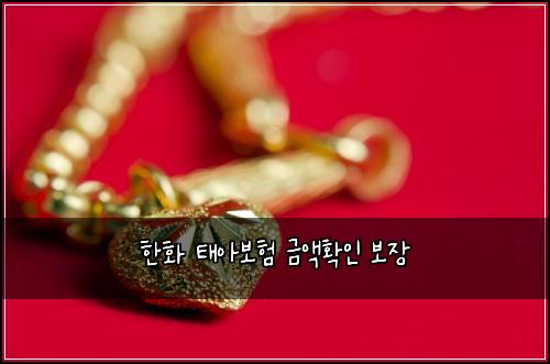 ํํ ํ์๋ณดํ ๊ธ์กํ์ธ ๋ณด์ฅ
