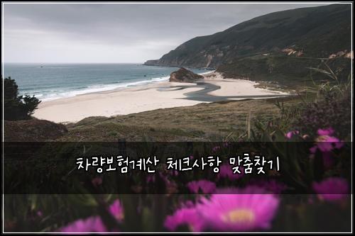 차량보험계산 체크사항 맞춤찾기
