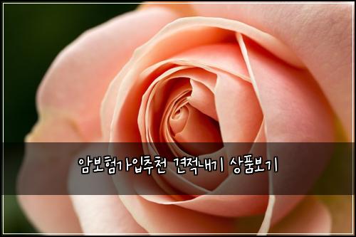 암보험가입추천 견적내기 상품보기