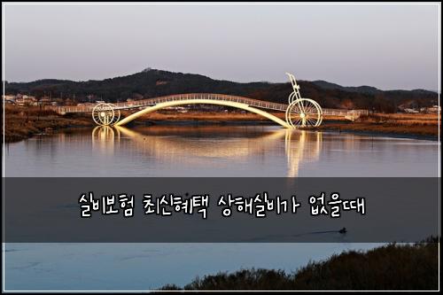 실비보험 최신혜택  상해실비가 없을때