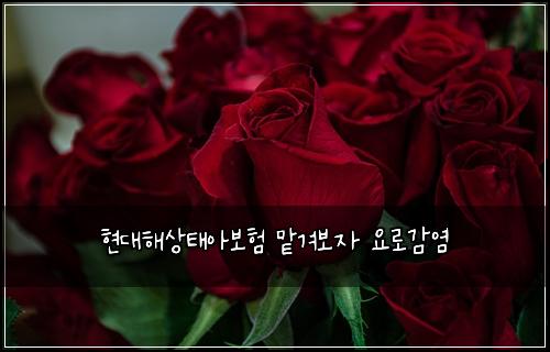 현대해상태아보험 맡겨보자  요로감염