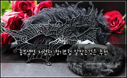 동부생명 저렴한 정기보험 알맞는것은  추천