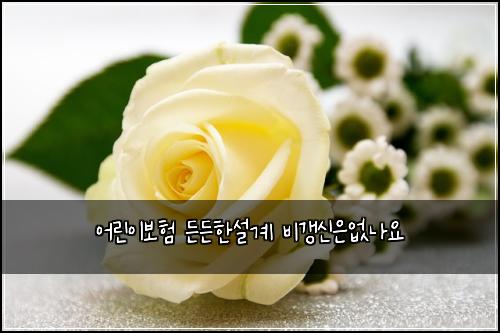 ์ด๋ฆฐ์ด๋ณดํ ๋ ๋ ํ์ค๊ณ ๋น๊ฐฑ์ ์์๋์