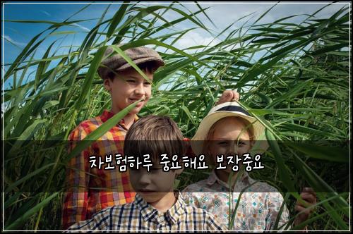 ์ฐจ๋ณดํํ๋ฃจ ์ค์ํด์ ๋ณด์ฅ์ค์