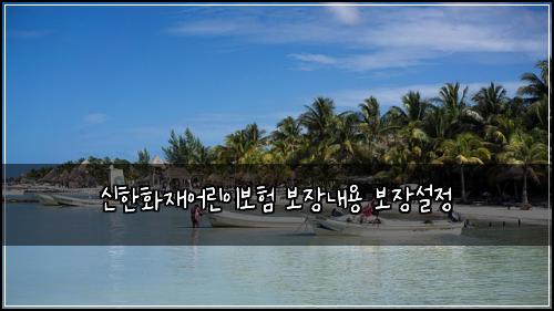 신한화재어린이보험 보장내용  보장설정