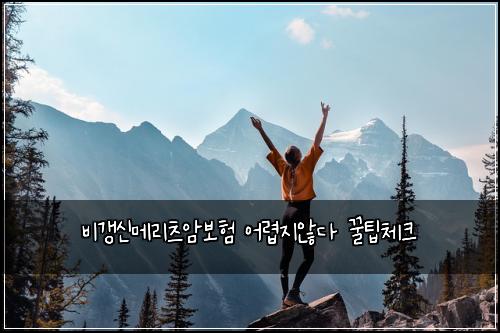๋น๊ฐฑ์ ๋ฉ๋ฆฌ์ธ ์๋ณดํ ์ด๋ ต์ง์๋ค ๊ฟํ์ฒดํฌ