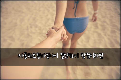 ์๋์ฐจ๋ณดํ๊ฐ์
๋์ด ์ ์ฝํ๊ธฐ ์ฅ์ ์ด๋ผ๋ฉด
