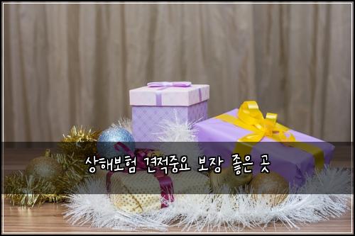 상해보험 견적중요  보장 좋은 곳