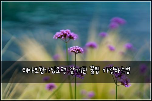 태아보험가입요령 알게된 꿀팁 가입하는법