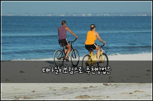 태아실비보험으로 추천방법은