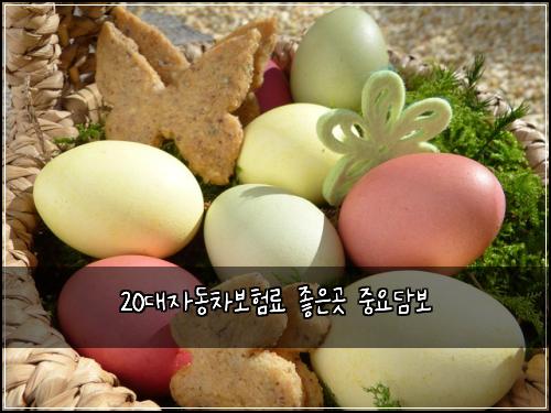 20대자동차보험료 좋은곳 중요담보