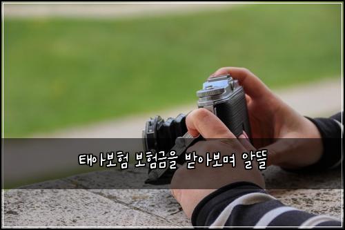 태아보험 보험금을 받아보며 알뜰