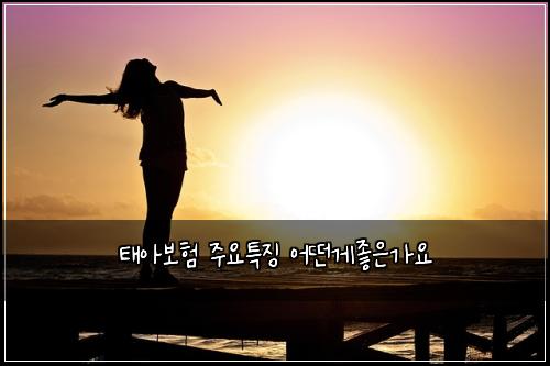 ํ์๋ณดํ ์ฃผ์ํน์ง ์ด๋ค๊ฒ์ข์๊ฐ์