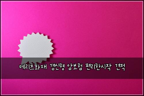 ๋ฉ๋ฆฌ์ธ ํ์ฌ ๊ฐฑ์ ํ ์๋ณดํ ํธ๋ฆฌํ์์ ๊ฒฌ์ 