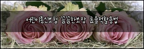어린이종신보험 꼼꼼한보장  효율적활용법