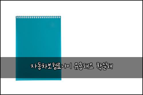 자동차보험료나이 유용해요 확실해