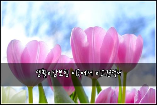 ์ํ๋น์๋ณดํ ์ด๊ณณ์์ ๋น๊ต๊ฒฌ์ ์