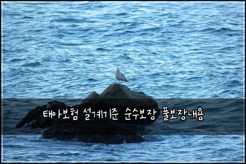 ํ์๋ณดํ ์ค๊ณ๊ธฐ์ค ์์๋ณด์ฅ ํ๋ณด์ฅ๋ด์ฉ